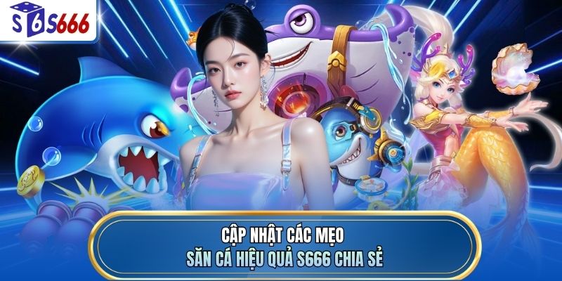 Cập nhật các mẹo săn cá hiệu quả S666 chia sẻ